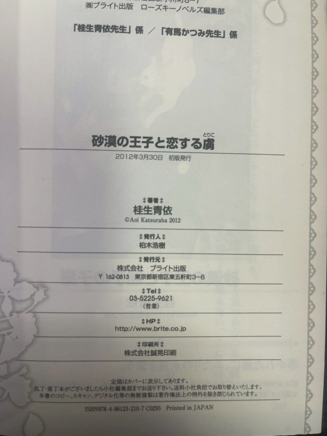 砂漠の王子と恋する虜 画像4