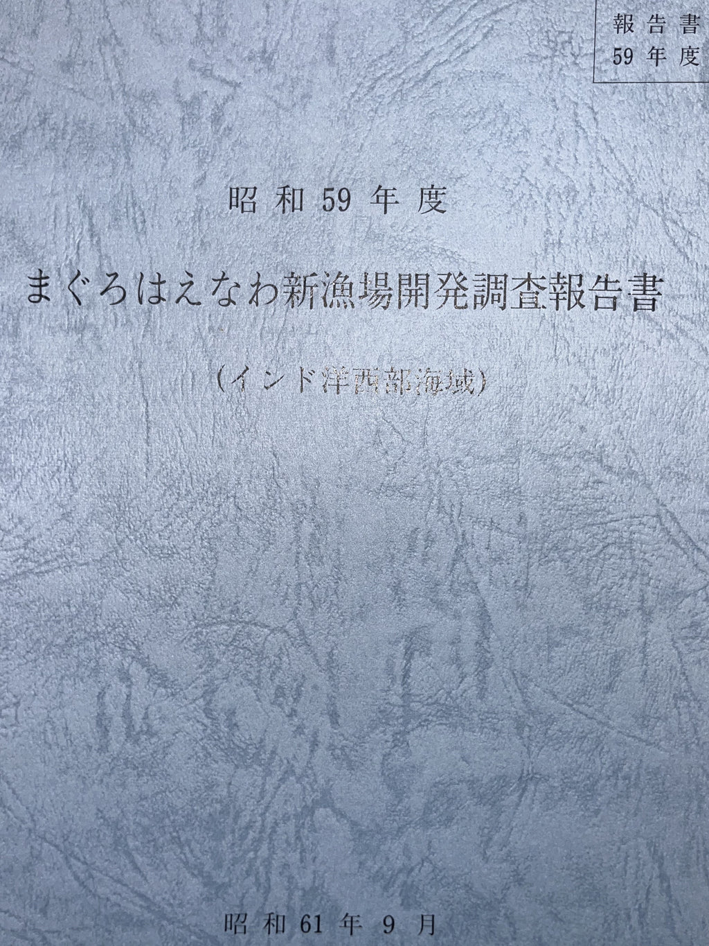 まぐろはえなわ新漁場開発調査報告書 画像3