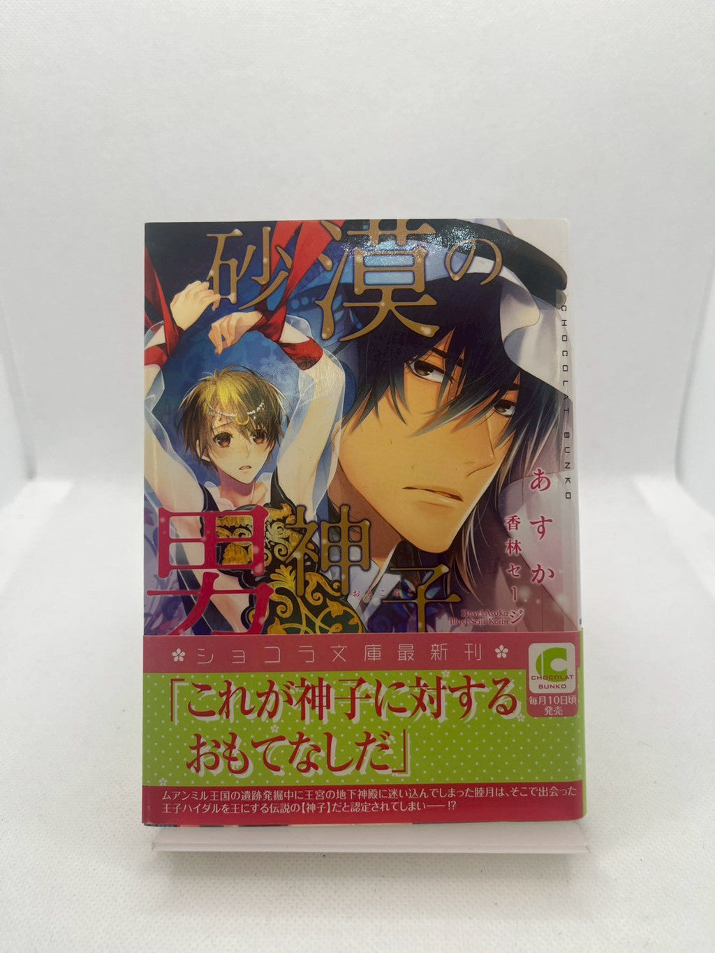 砂漠の男神子 表紙