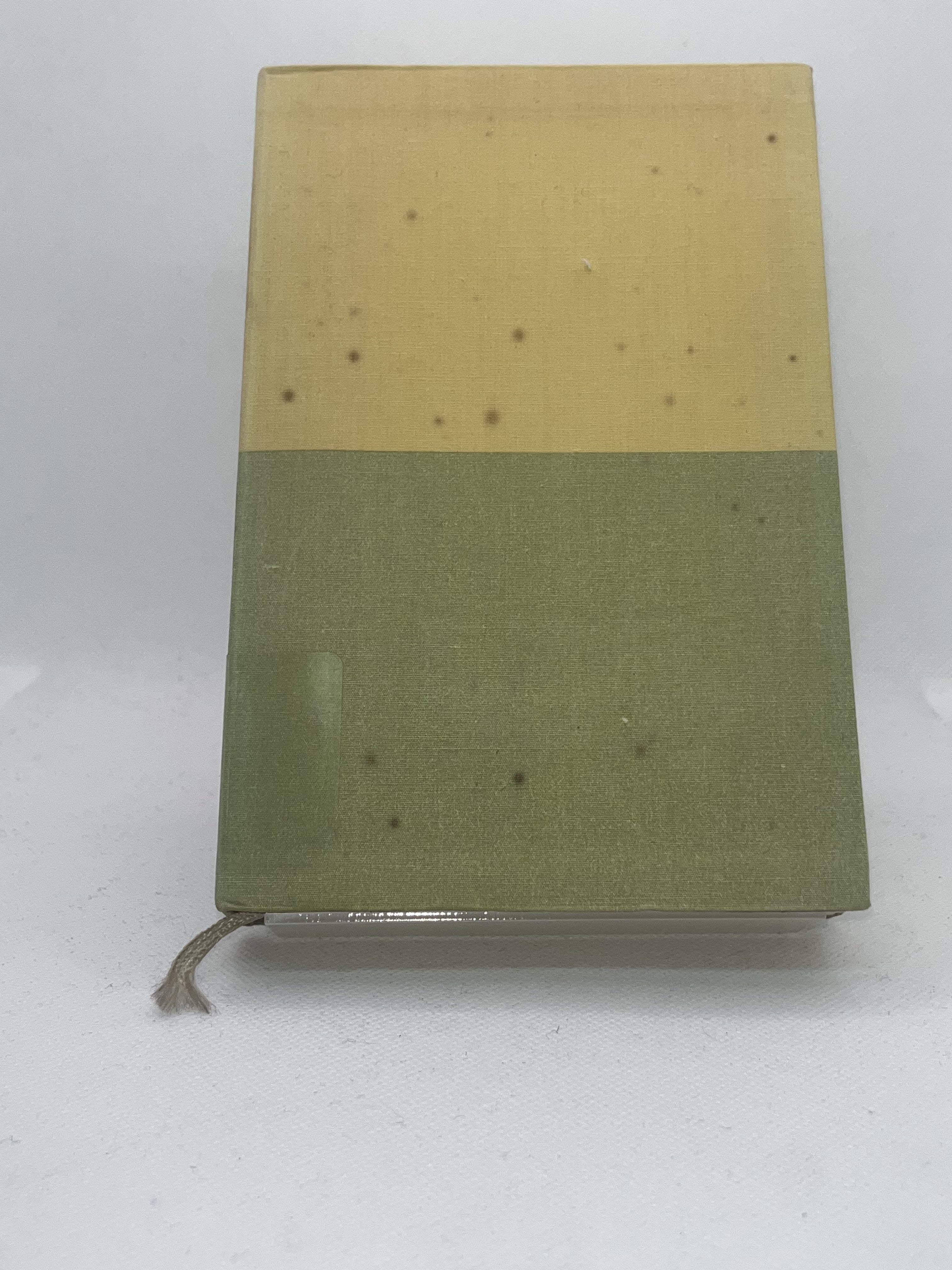 武田泰淳集 表紙