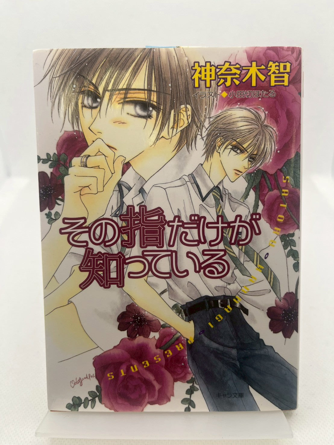 その指だけが知っている 表紙