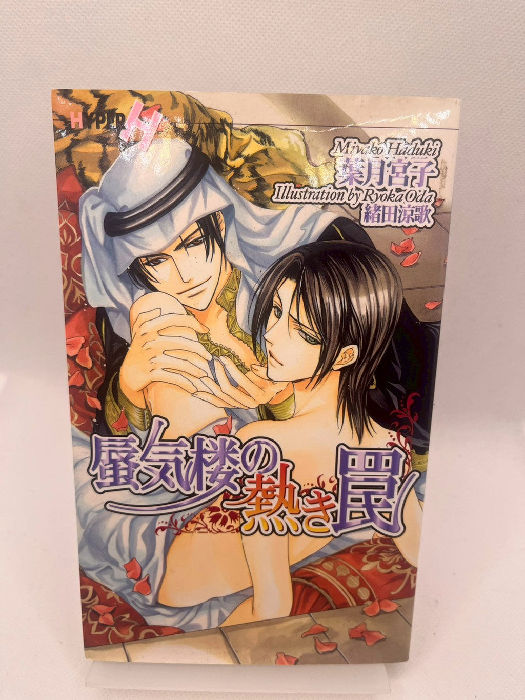 蜃気楼の熱き罠 表紙