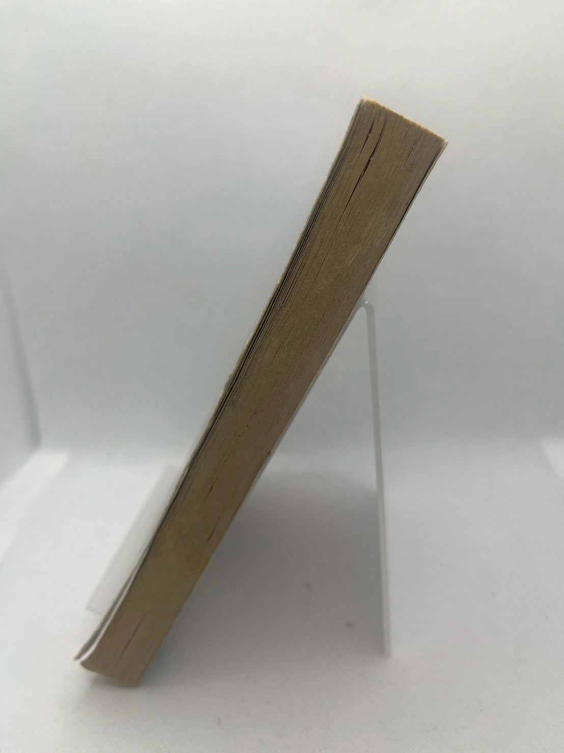 The Great Trouble: A Mystery of London, the Blue Death, and a Boy Called Eel 画像4