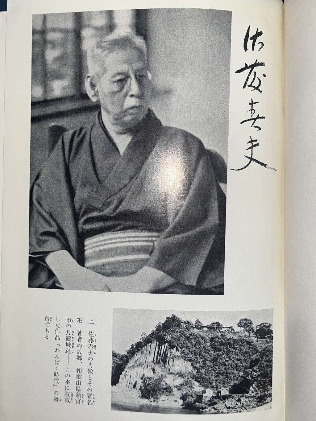 現代日本文学全集 15/佐藤春夫名作集 画像7