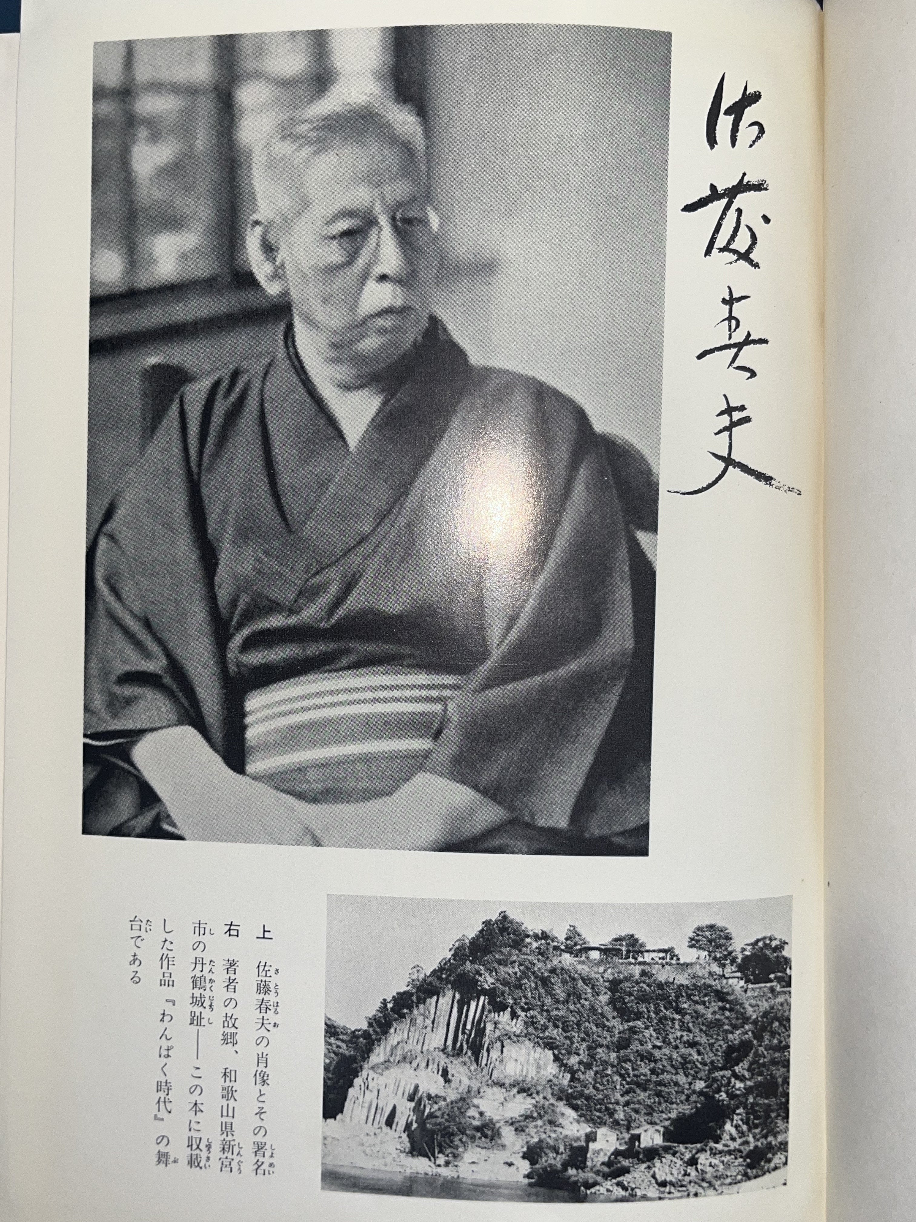 現代日本文学全集 15/佐藤春夫名作集 画像7