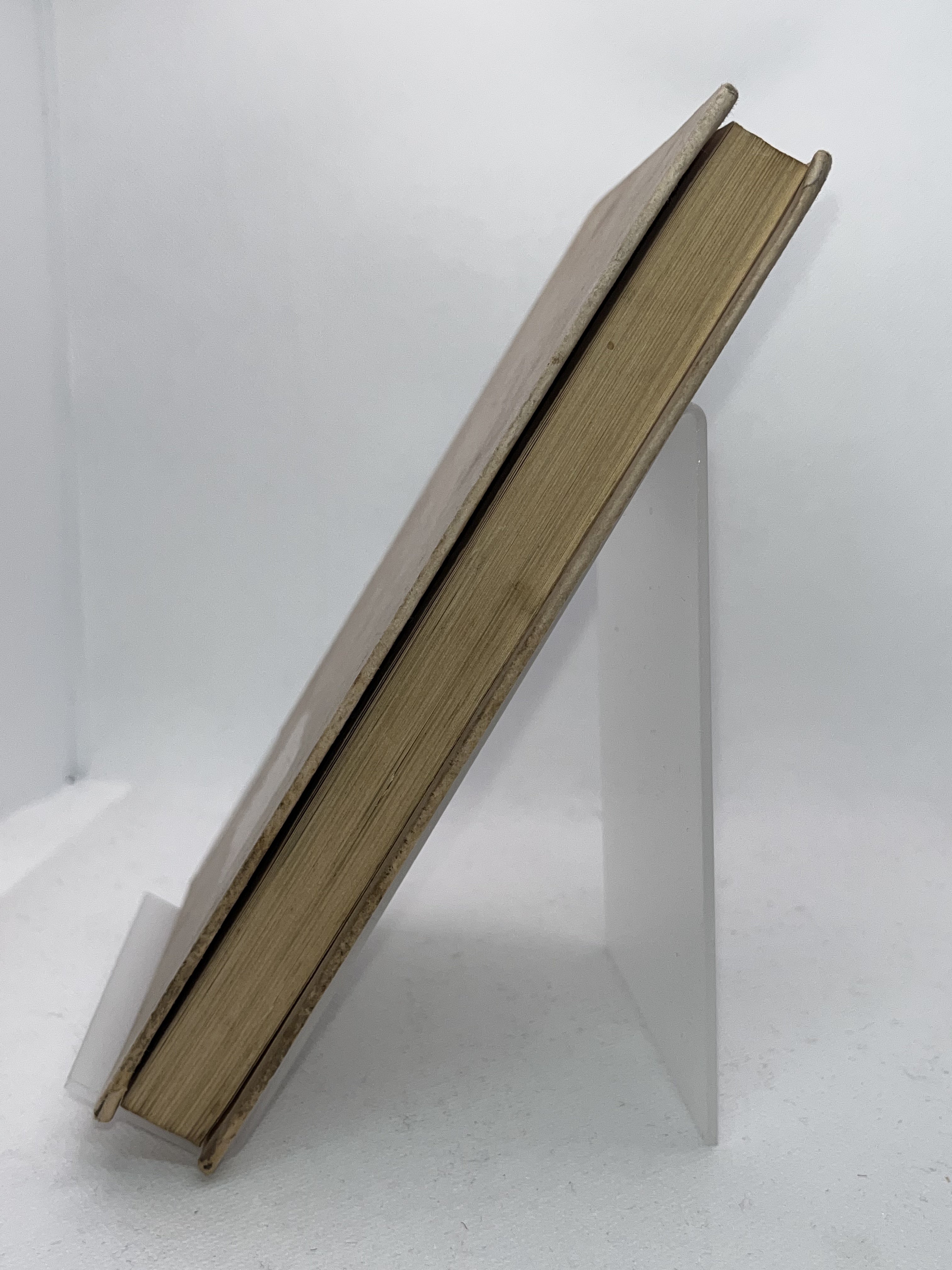 ワシントンの街から 画像4