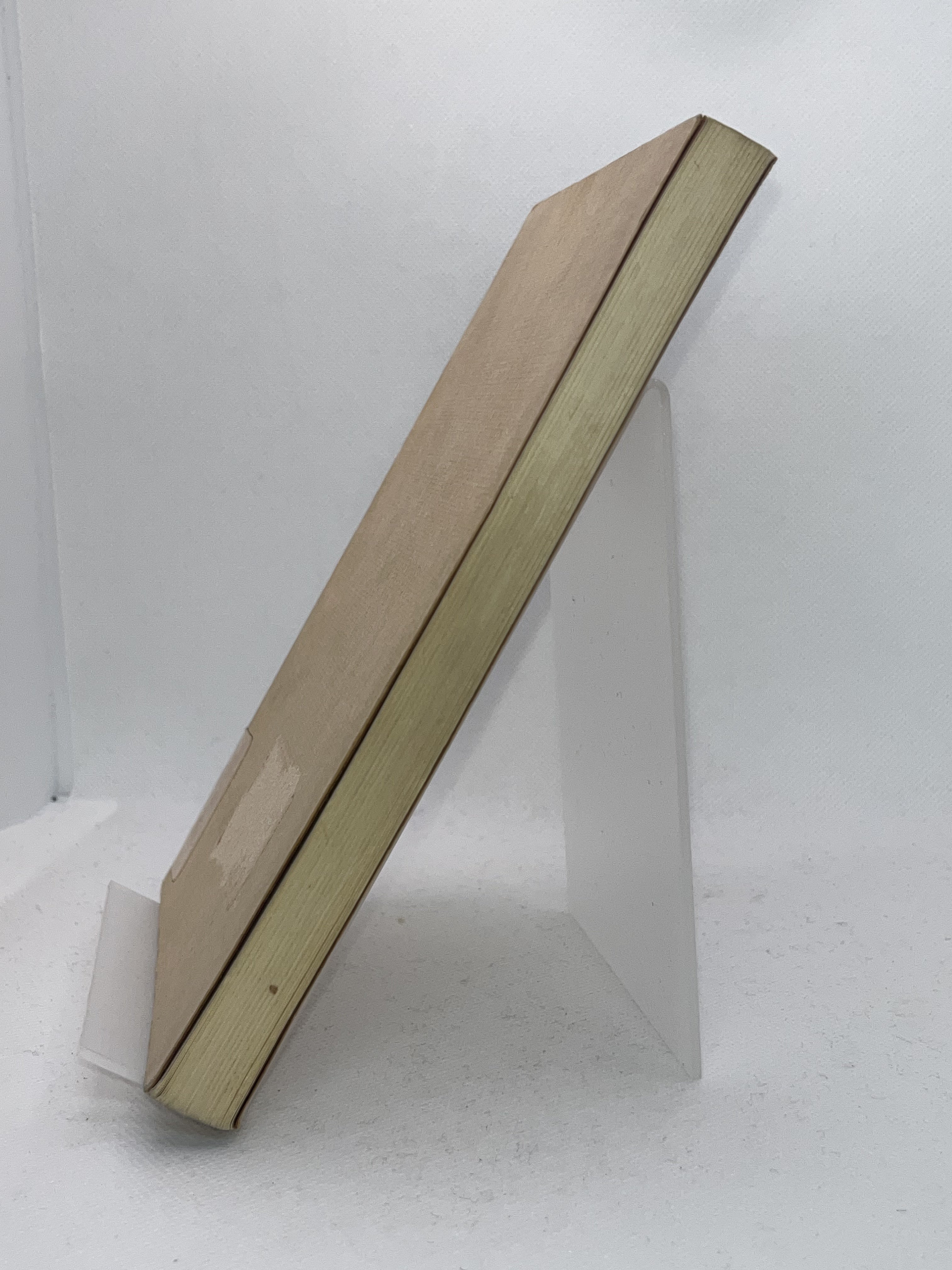 せんせい ―名物先生と子供たち 画像4