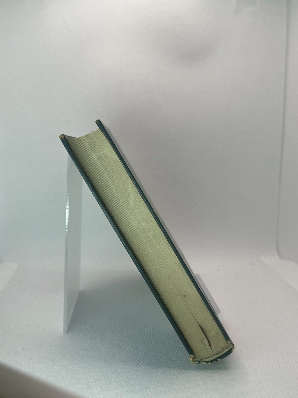 一生之回憶 画像4