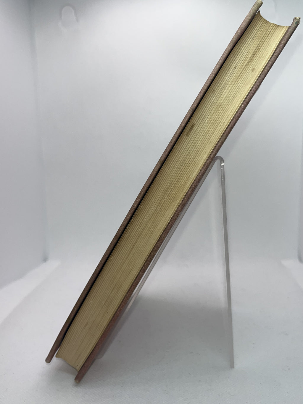 石坂洋次郎名作集 画像3