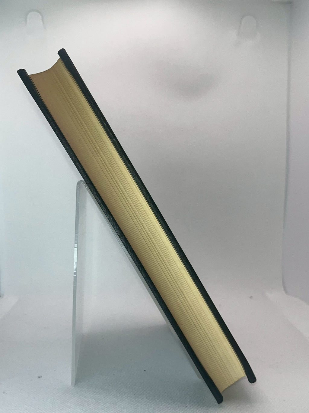 政府機関および各団体の見解 画像5