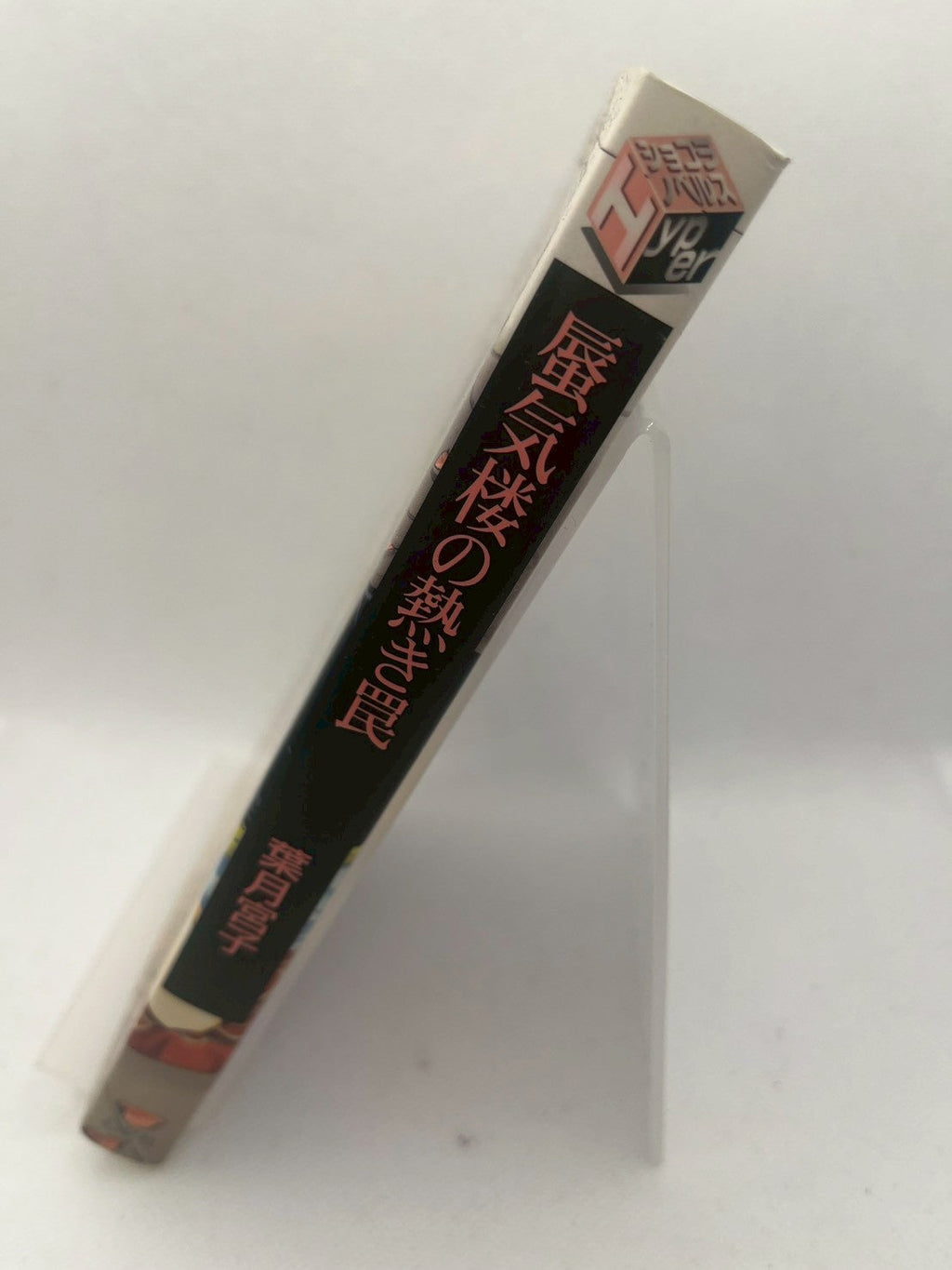 蜃気楼の熱き罠 画像2