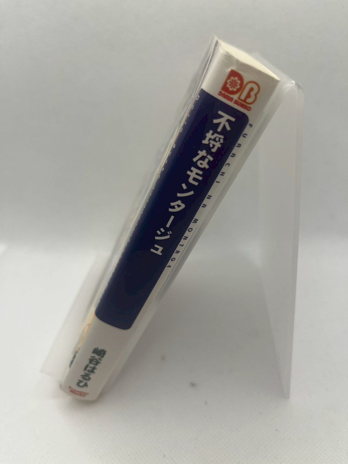 不埒なモンタージュ 画像2